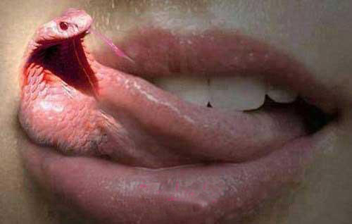 مجموعه عکس های خلاقانه و دیدنی روز