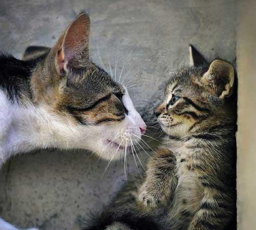 مجموعه عکس های خلاقانه و دیدنی روز