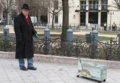 مجموعه عکس های خلاقانه و دیدنی روز