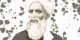 زندگینامه اوحدالدین علی بن محمد انوری