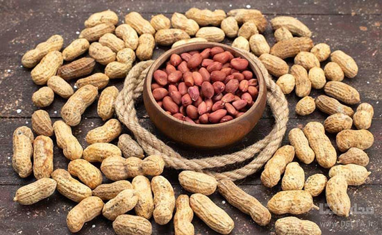 جلوگیری از بیماریهای قلبی با مصرف بادام زمینی جلوگیری از بیماریهای قلبی با مصرف بادام زمینی