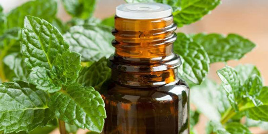 توصیه درمانی مفید برای بیماران مبتلا به میگرن توصیه درمانی مفید برای بیماران مبتلا به میگرن