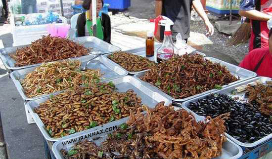غذاهایی پر طرفدار و مشهور ولی چندش آور +تصاویر
