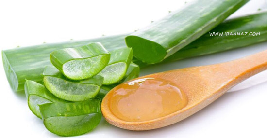 دستور العمل های تهیه ماسک طبیعی آلوئه ورا