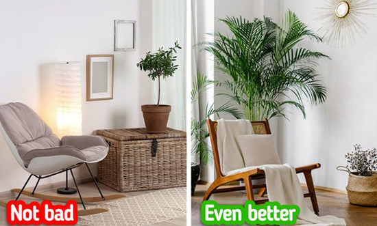 گل در خانه ، خانه ای لوکس و شیک