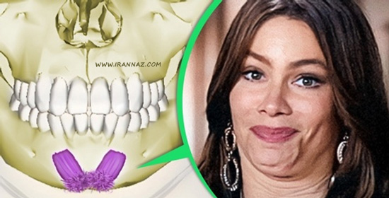 عضلات چانه ، کارهای عجیب بدن انسان