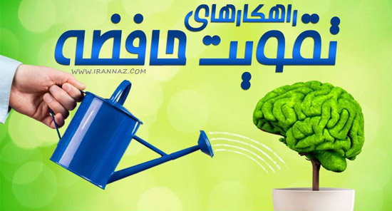 چه غذاهایی به تقویت حافظه و عملکرد مغز کمک می کند؟