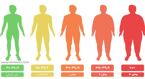چاقی و اضافه وزن ، دلیل اصلی چاقی