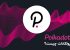 ارز پولکادات Dot چیست؟ – بررسی آینده ارز دیجیتال