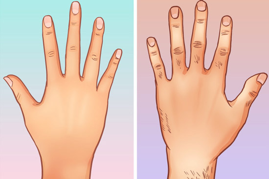 انگشت سبابه و انگشت حلقه زنان تقریبا هم اندازه هستند ، تفاوت های مردان و زنان