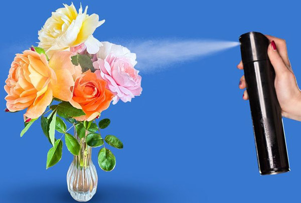 به گل ها تافت مو بزنید ، گل را برای مدت طولانی تازه نگه داریم