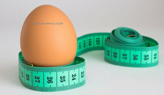 تخم مرغ برای کاهش وزن