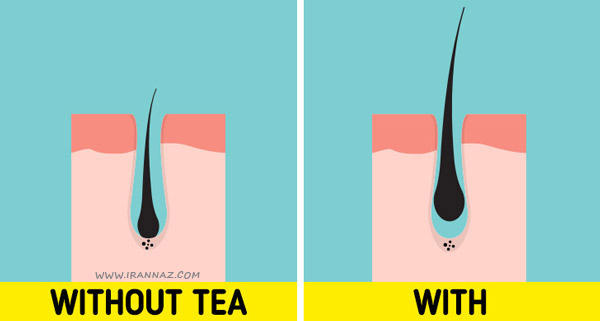 چای به رشد سریعتر موها کمک می کند