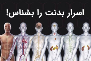 نکاتی جالب در مورد بدن که تاکنون نمی دانستید!