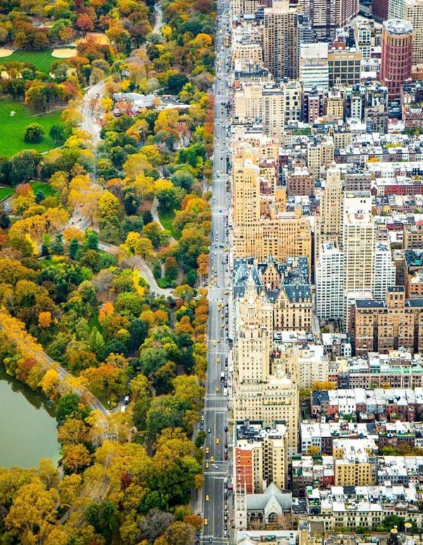بین دو دنیای متفاوت، نیویورک و ایالات متحده آمریکا