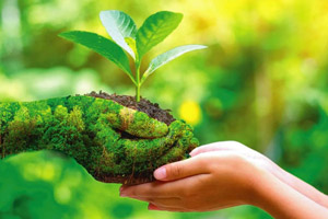 ایده های اقتصادی و ساده برای کمک به محیط زیست