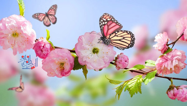 عکس های زیبا از فصل بهار در نقاط مختلف دنیا