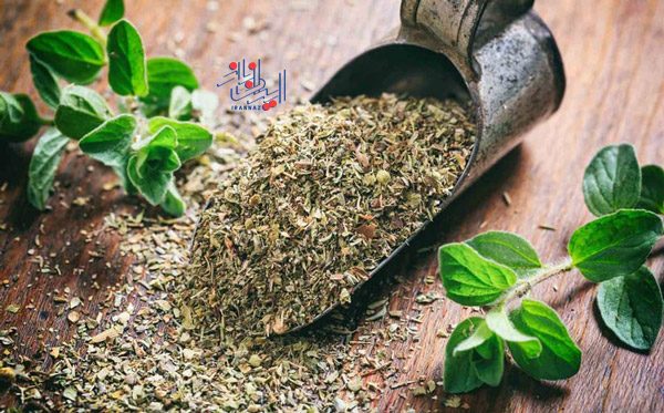 آویشن ، پنج گیاه مفید برای کاهش وزن و لاغری