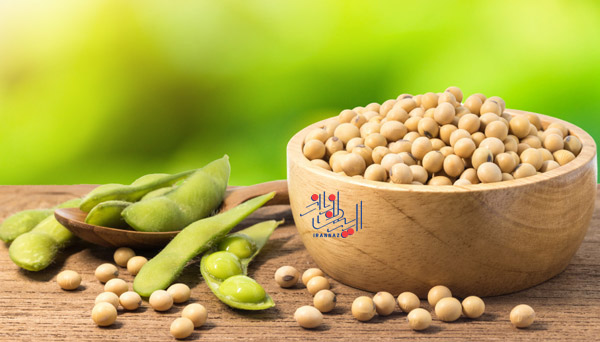 بفرمایید سویا - Soybean