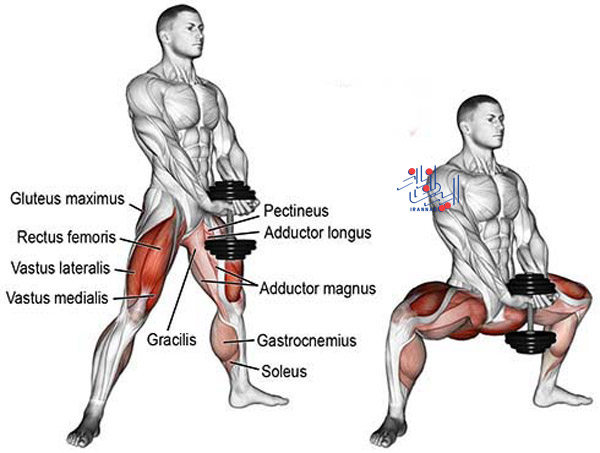 سامو دامبل اسکات sumo dumbbell squat ، روش اصولی زدن اسکات برای بزرگ شدن باسن