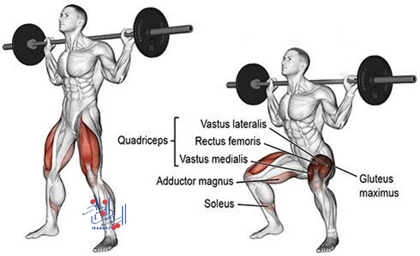 باربل اسکات barbell squat موثرتر از اسکات معمولی