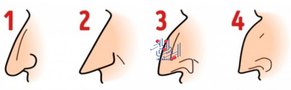 شخصیت شناسی از روی فرم بینی افراد شخصیت شناسی از روی فرم بینی افراد