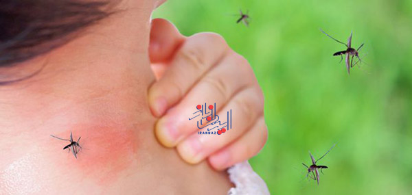 خوراکی های مفید برای در امان بودن از نیش پشه