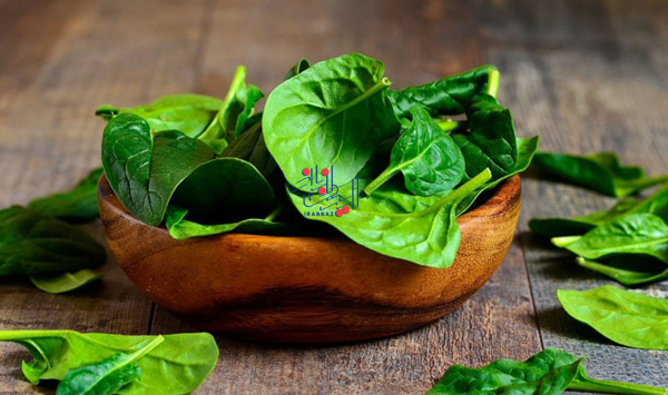 اسفناج - Spinach ، بهترین میوه ها برای افزایش قدرت بینایی چشم
