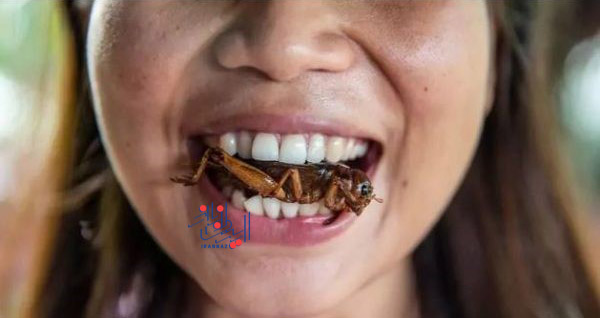 خوردن حشرات در تایلند ، عجیب و غریب ترین فرهنگ های مردم سراسر دنیا