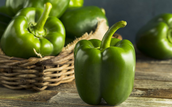 فلفل دلمه سبز - Green bell pepper