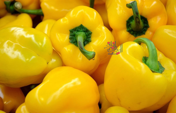 فلفل دلمه زرد - yellow bell pepper ، دانستنی هایی در مورد انواع فلفل دلمه و تفاوت آنها