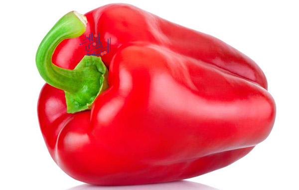 فلفل دلمه قرمز - Red bell pepper ، دانستنی هایی در مورد انواع فلفل دلمه و تفاوت آنها