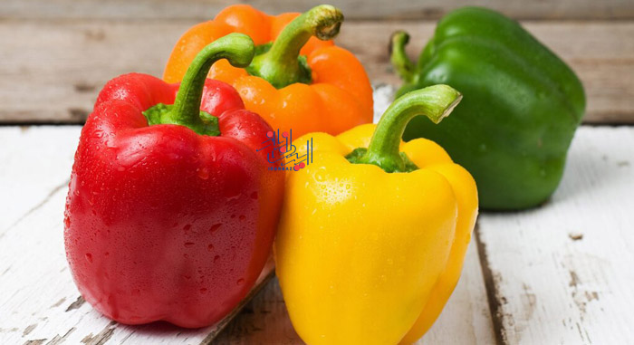فلفل دلمه ای - Bell pepper