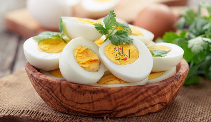 تخم مرغ - egg