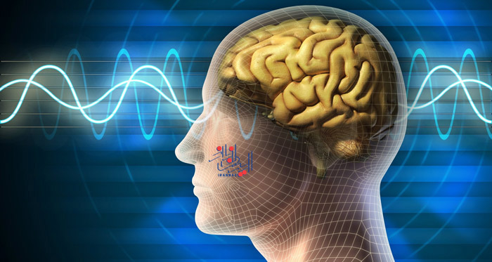 ورزش های مناسب و مفید برای سلامت مغز ، Suitable and useful exercises for brain health