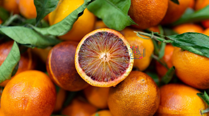 پرتقال خونی - Blood orange