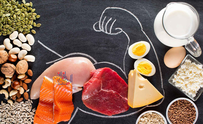 عملکرد رژیم پروتئین چگونه است؟