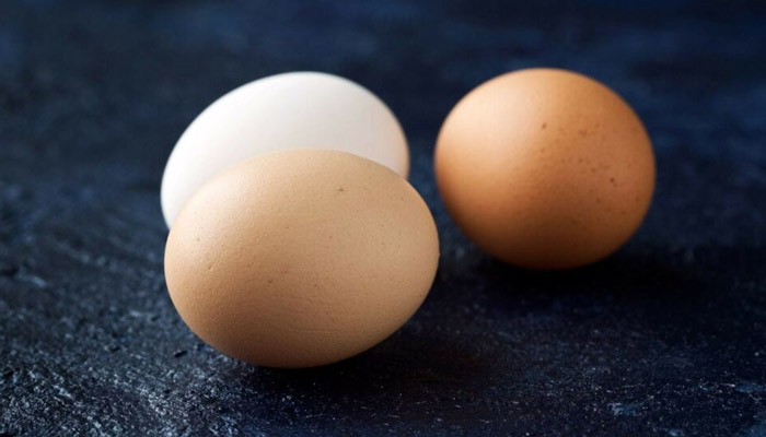 تخم مرغ - egg