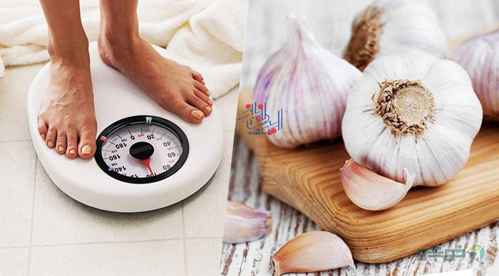 راه های استفاده از سیر برای کاهش وزن و لاغری
