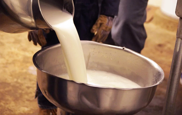 شیر خام و محصولات لبنی غیر پاستوریزه در ایالات متحده