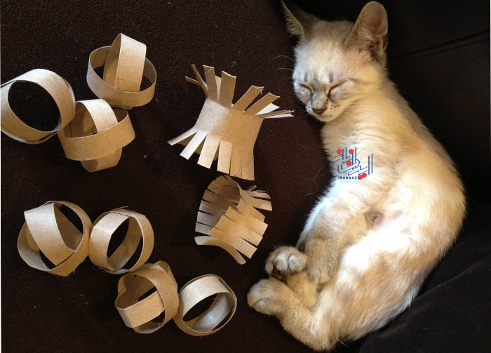 اسباب بازی گربه ، کاربردهای جالب و بهینه لوله دستمال کاغذی