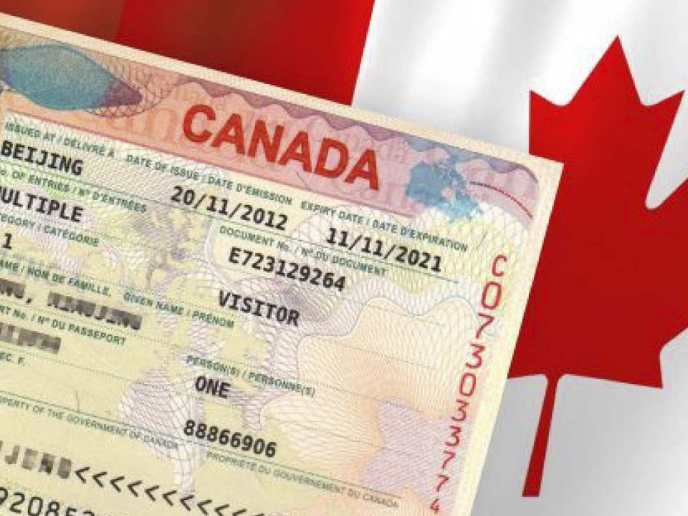 دریافت ویزای تضمینی کانادا با نیلاگشت الهیه