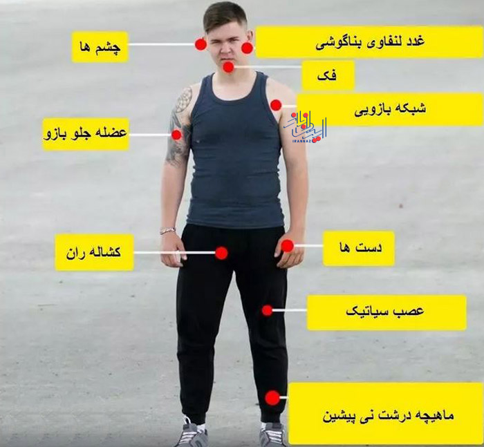 نقاط حساس اصلی بدن