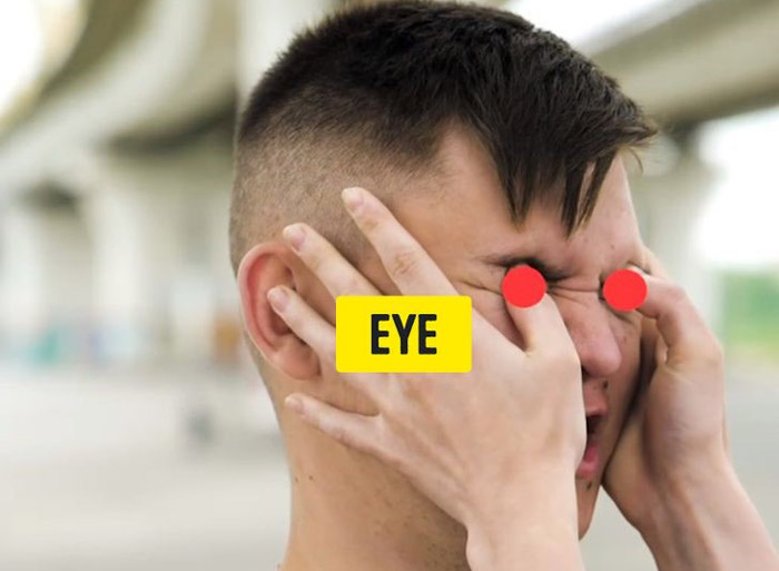 چشم ها ، نقاط حساس بدن برای دفاع شخصی و نجات زندگی