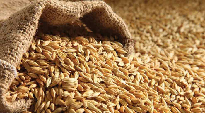 جو برای تقویت مو ، داشتن موهای پرپشت و زیبا با خوردن این خوراکی ها