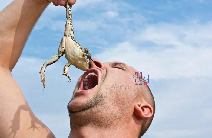 قورباغه