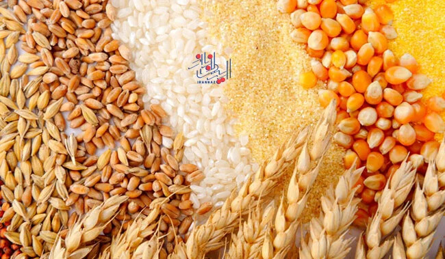 غلات ، کدام میان وعده های غذایی برای مغز مضر هستند؟