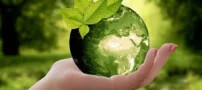 کشف پدیده ای شگفت انگیز و بسیار جالب در گیاهان