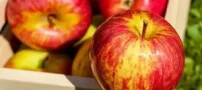 واقعیت های شوکه کننده و بسیار جالب درمورد سیب