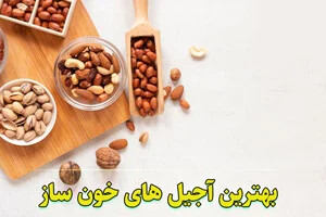 آجیل های خون ساز + درمان کم خونی با مصرف آجیل